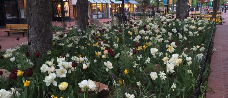 Boulder Colorado